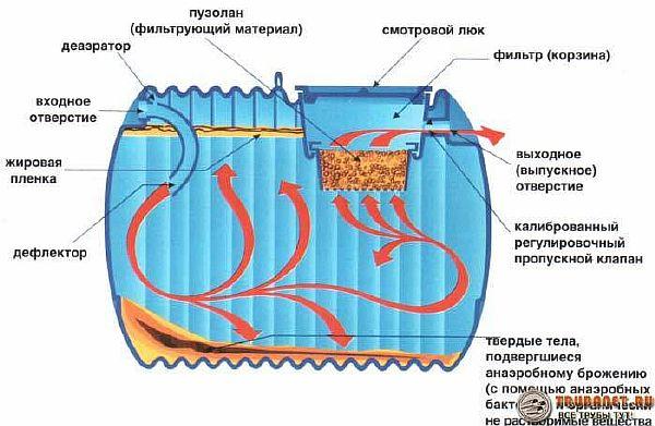 Бактерії для септиків та вигрібних ям