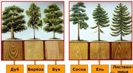 Як зробити тятиву для сходів своїми руками