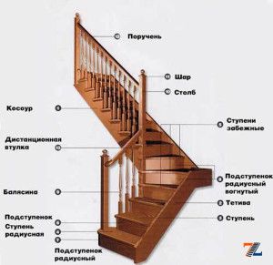 З чого складається сходи?